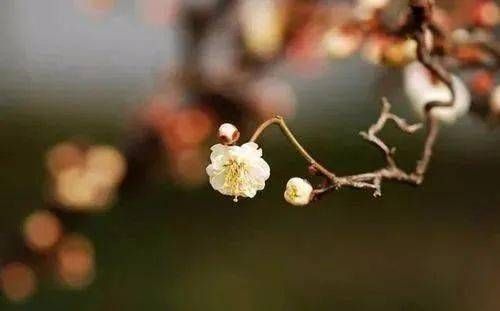 关于立春的诗句有哪些？立春古诗集锦