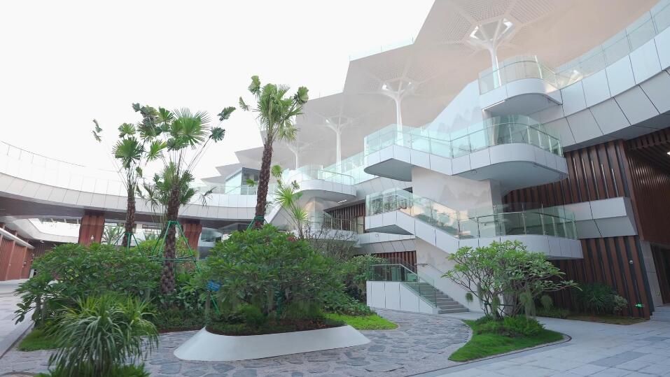 理论在身边｜出发，bt365手机备用网址_365bet大陆_365bet亚洲投注网址打卡地——空铁联运新时代，我们来啦！